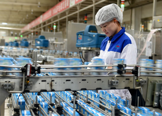 Cina Bakteri Asam Laktat Lini Produksi Susu Yogurt Manufacturing Equipment / Machine pemasok