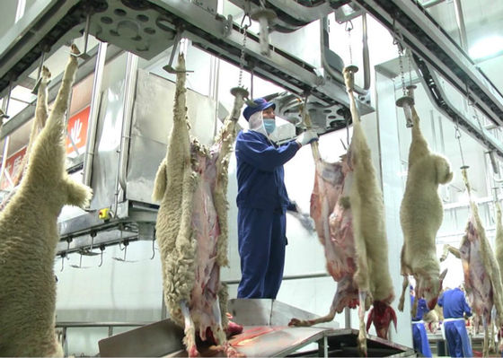 Cina Lamb Split Meat Production Line, Pengolahan Lini Produksi Industri Selanjutnya pemasok