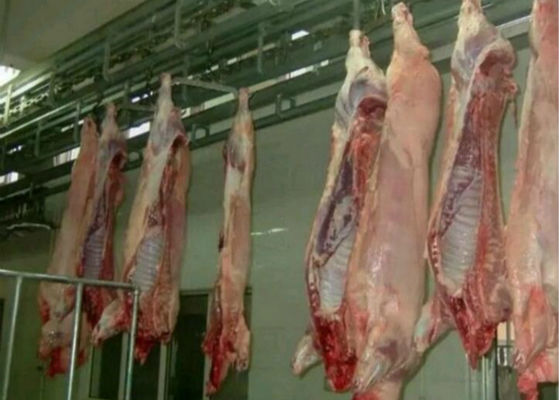 Cina Pork Split Poultry Meat Production Line Rumah Potong Peralatan PLC Control System pemasok