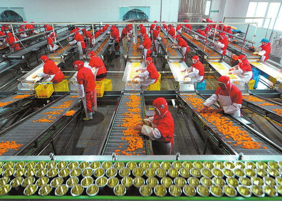 Cina Plastic Cup Canned Food Production Line, Peralatan Pengolahan Buah dan Sayuran pemasok