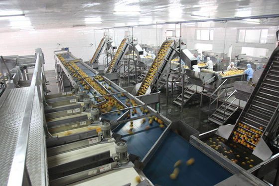 Cina Makanan Tin Bisa Jalur Produksi Sepenuhnya Semi Otomatis 100-300 Kaleng Per Jam Kecepatan Tinggi pemasok