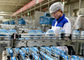 Bakteri Asam Laktat Lini Produksi Susu Yogurt Manufacturing Equipment / Machine pemasok