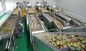 Intelligent Vegetable Fruit Production Line Automatic Packaging Conveyor Systems pemasok