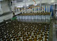 Back - End Automated Production Line, Peralatan Otomasi Line Assembly pemasok