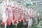 Jalur Produksi Daging Sapi Split / Jalur Pengolahan 100-300 Kecepatan Per Jam Ternak pemasok