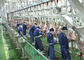 Lamb Split Meat Production Line, Pengolahan Lini Produksi Industri Selanjutnya pemasok