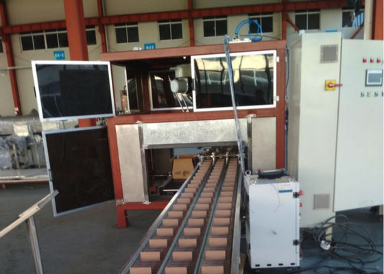 Cina PLC Control Automatic Carton Packing Machines Barrel Packer Mechanical Manipulator pemasok