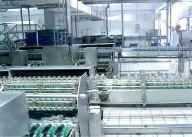 Cina Kaca Botol Minuman Pengolahan Peralatan Walnut / Kacang Tanah Produksi Line pemasok