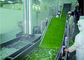 Intelligent Vegetable Fruit Production Line Automatic Packaging Conveyor Systems pemasok
