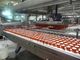 Automatic Ice Cream Production Line Packing Conveyor Systems pemasok