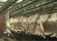 Kambing Kambing Split Daging Produksi Line Slaughter Menyampaikan Jenis Pengolahan Utuh pemasok